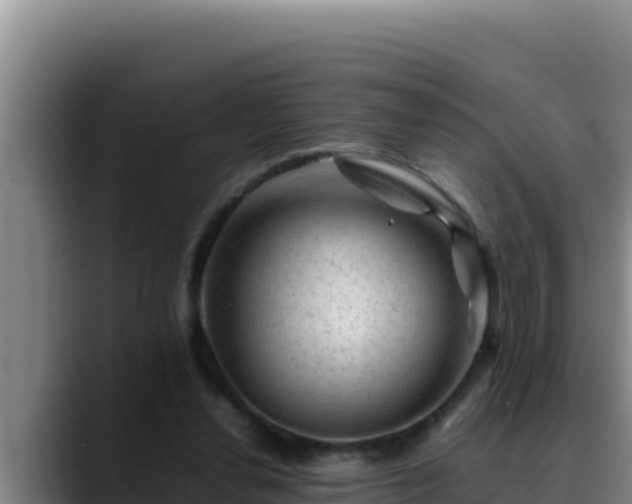 X0000090430252200707201141