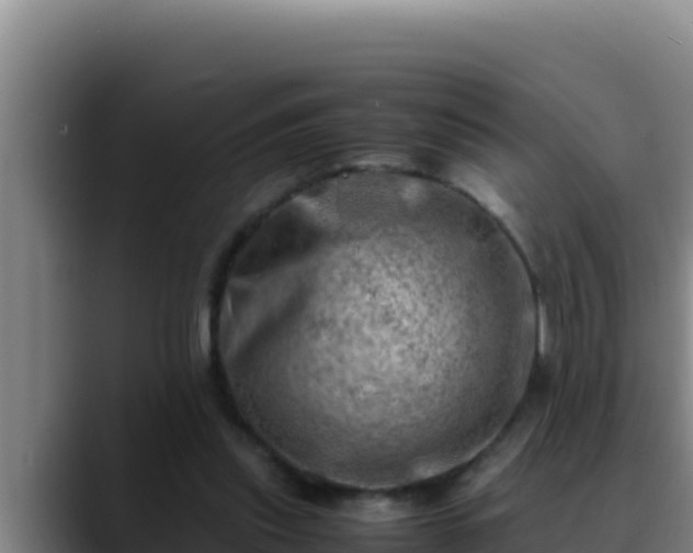 X0000090430253200707201141