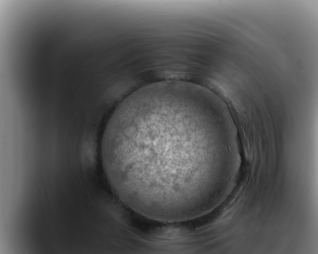 X0000090430255200707201141