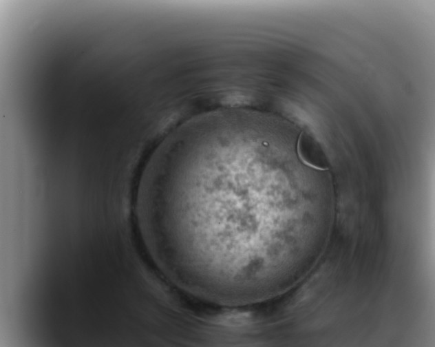 X0000090430257200707201141