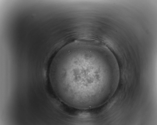 X0000090430258200707201141