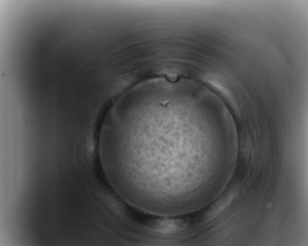 X0000090430261200707201141