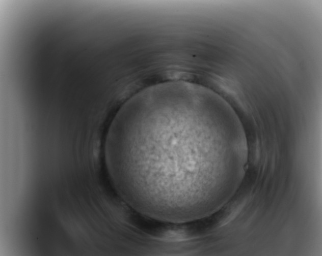 X0000090430263200707201141