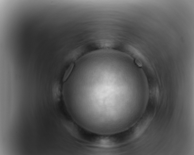 X0000090430264200707201141