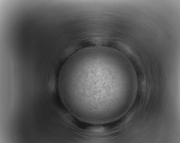 X0000090430266200707201141