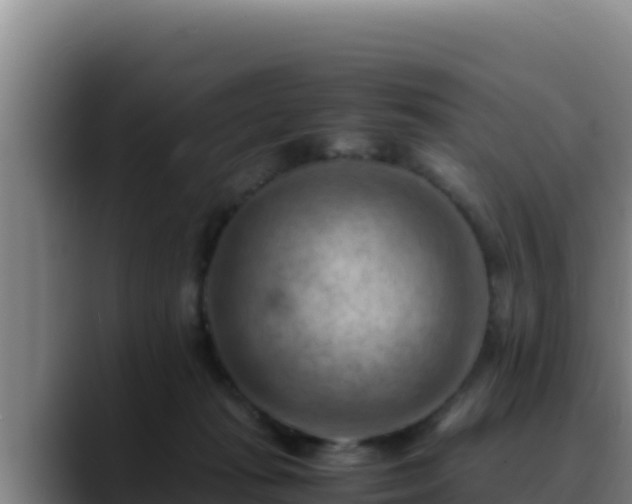 X0000090430269200707201141