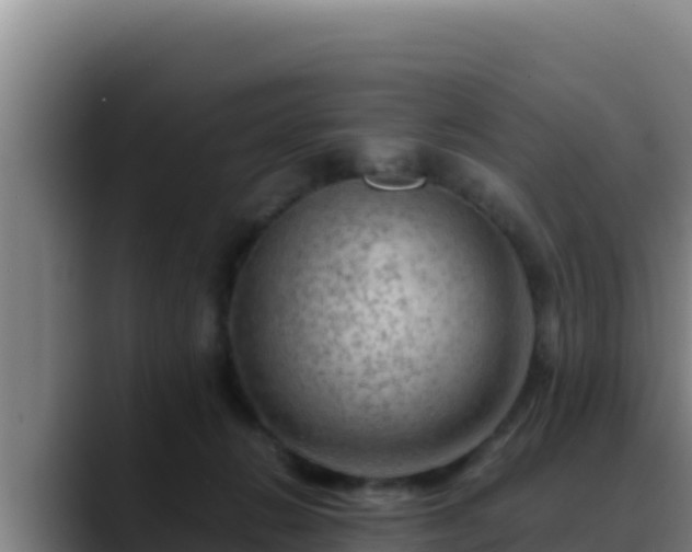 X0000090430270200707201142