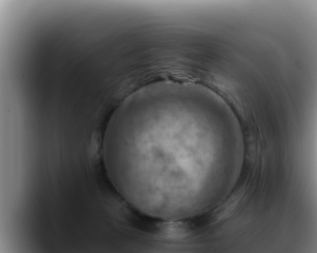 X0000090430273200707201142