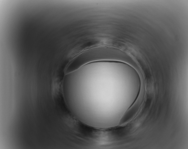 X0000090430276200707201142