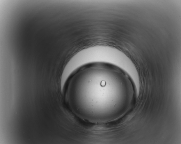 X0000090430280200707201142