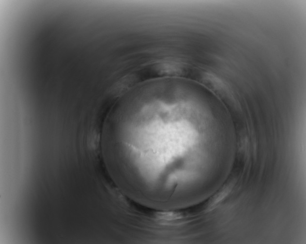 X0000090430281200707201142