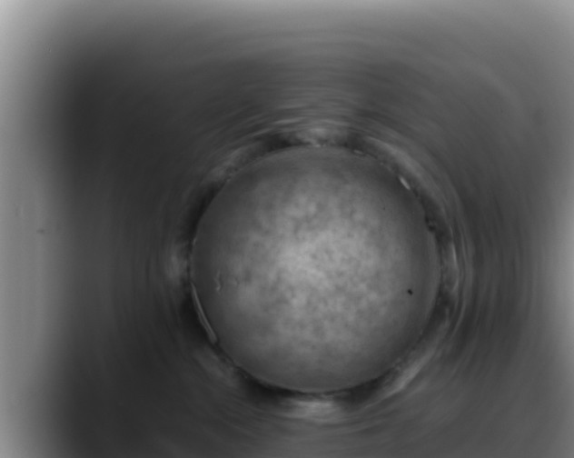 X0000090430284200707201142
