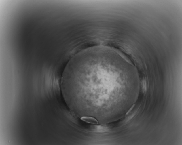 X0000090430286200707201142