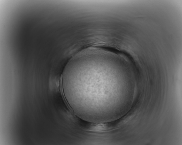 X0000090430288200707201142