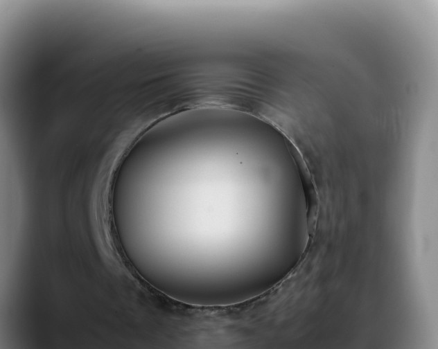 X0000090430289200707201141