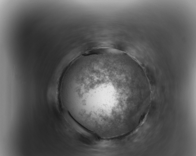 X0000090430293200707201141