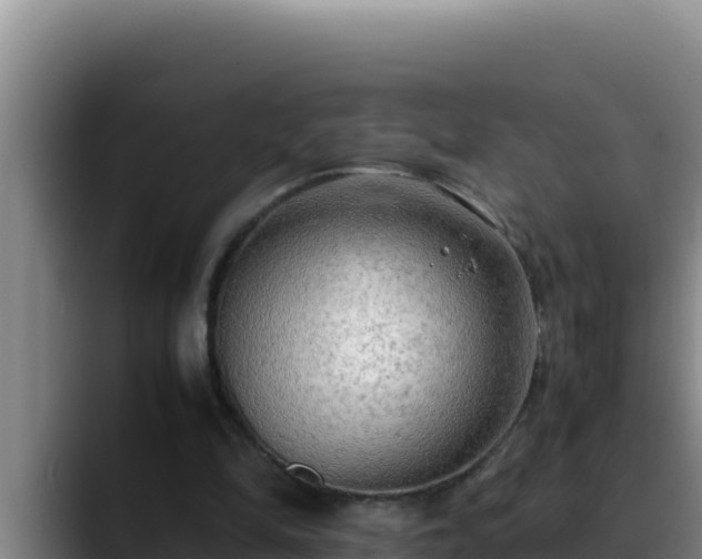 X0000090430294200707201141