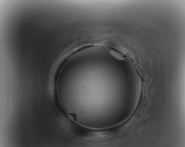 X0000090430295200707201141