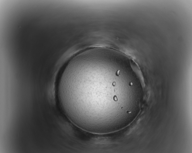 X0000090430296200707201141
