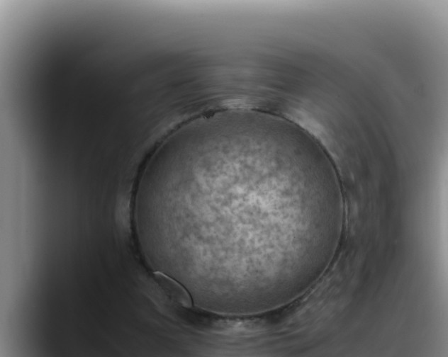 X0000090430297200707201141