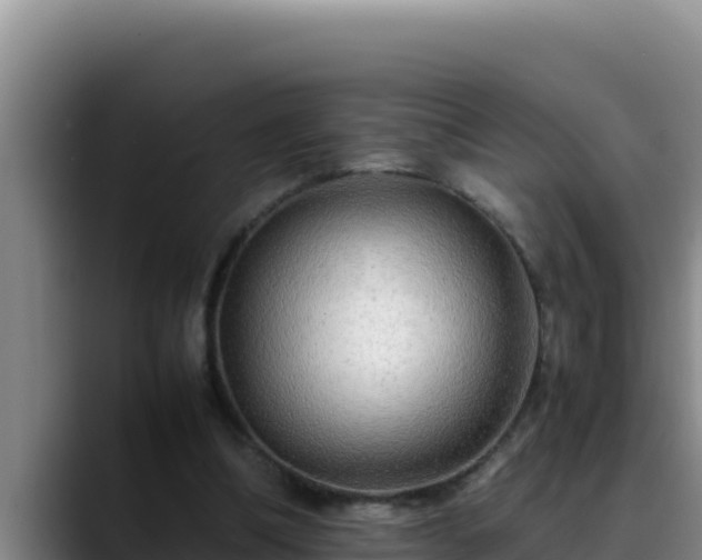 X0000090430298200707201141