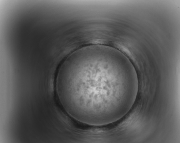 X0000090430299200707201141