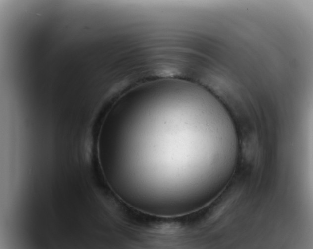 X0000090430304200707201141