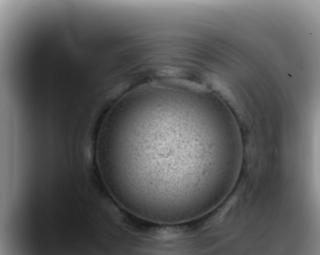 X0000090430305200707201141