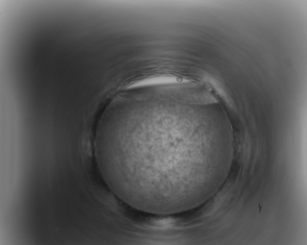 X0000090430313200707201141
