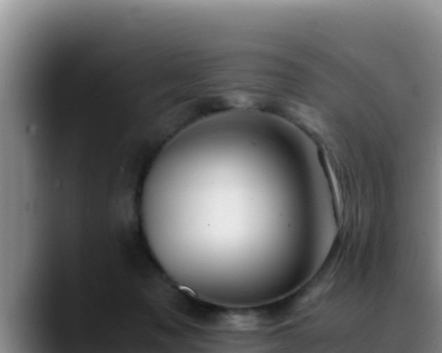 X0000090430317200707201141