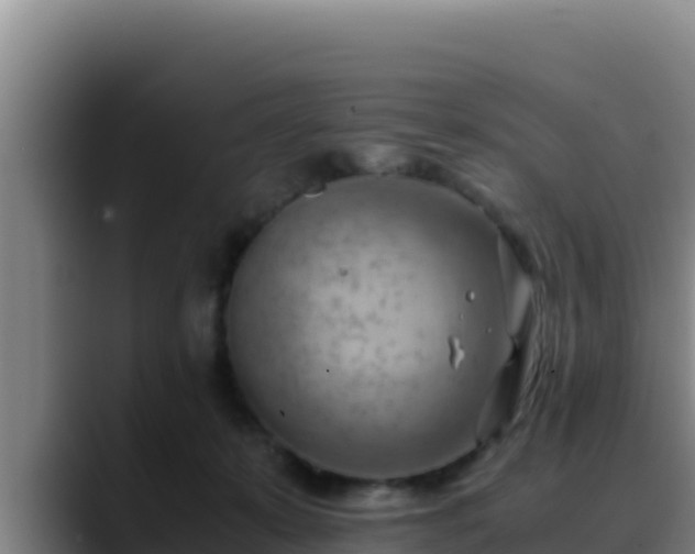 X0000090430319200707201141