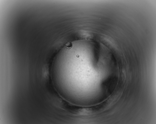 X0000090430320200707201141