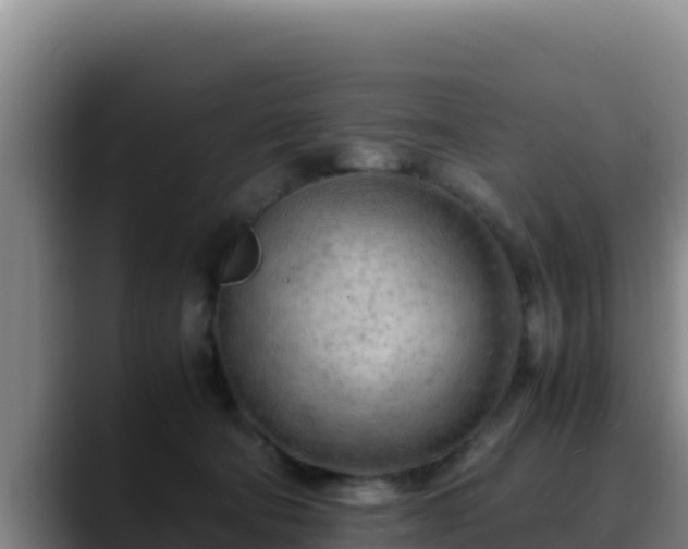 X0000090430322200707201141