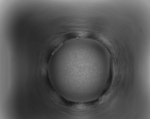X0000090430325200707201141