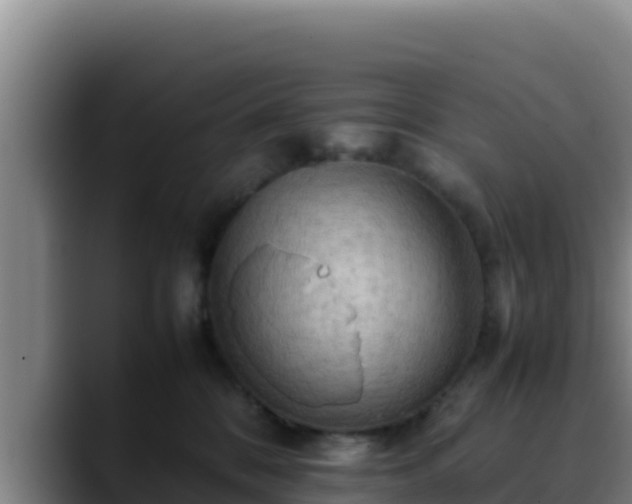 X0000090430328200707201141
