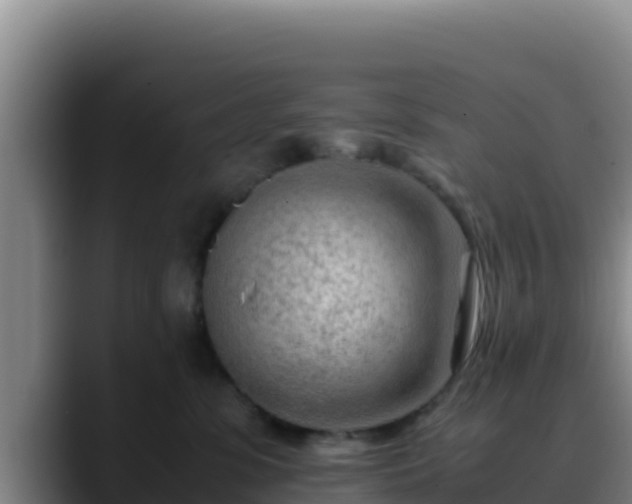 X0000090430331200707201141