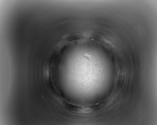 X0000090430334200707201141