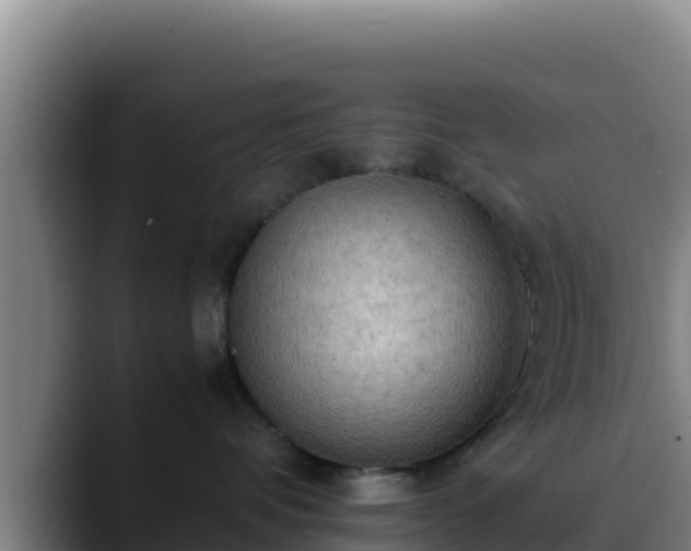 X0000090430336200707201141