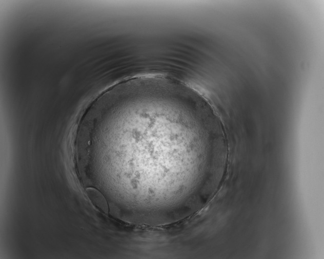 X0000090430337200707201140