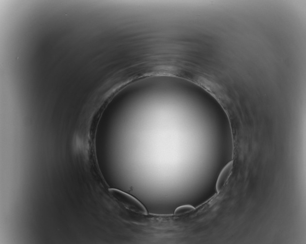 X0000090430338200707201140