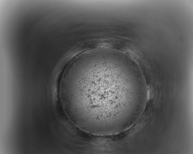 X0000090430339200707201140