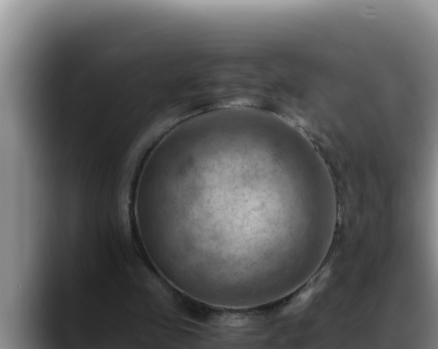 X0000090430341200707201140