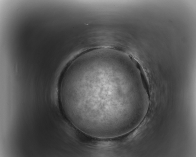 X0000090430342200707201140
