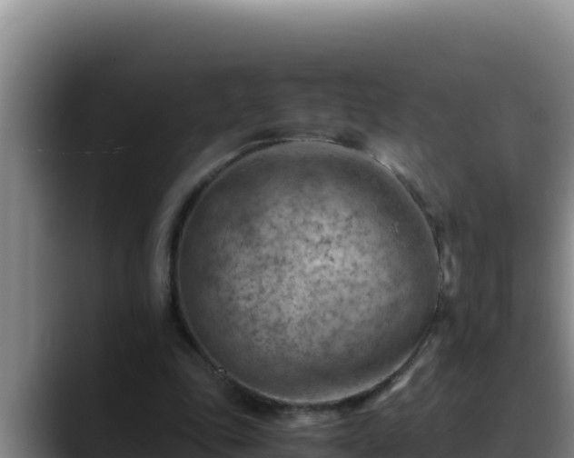 X0000090430343200707201140