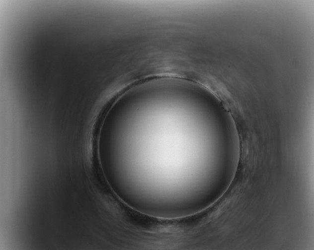 X0000090430344200707201140