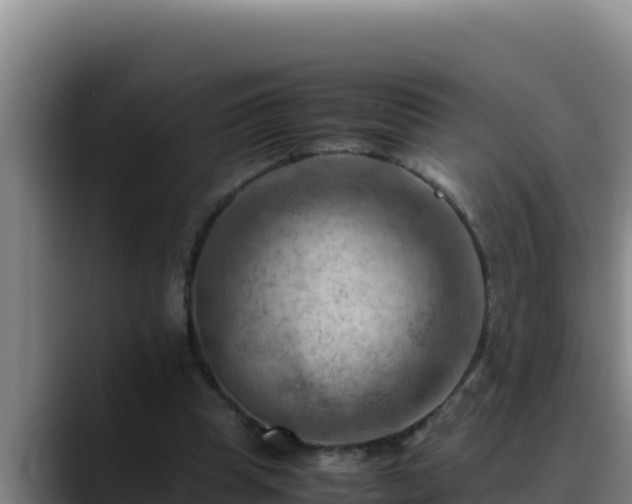 X0000090430345200707201140