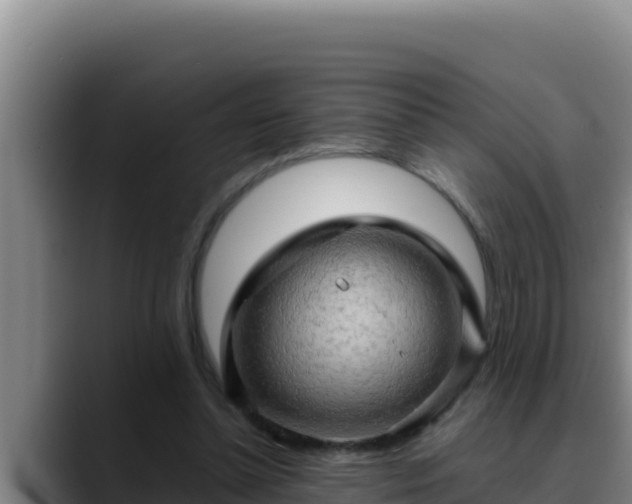 X0000090430348200707201140
