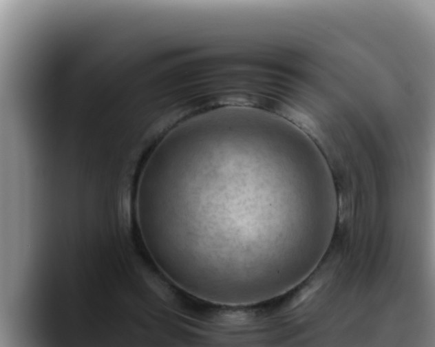 X0000090430349200707201140