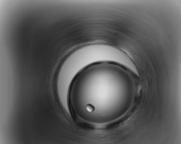 X0000090430350200707201140
