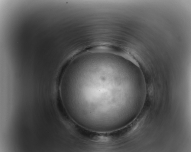 X0000090430352200707201140
